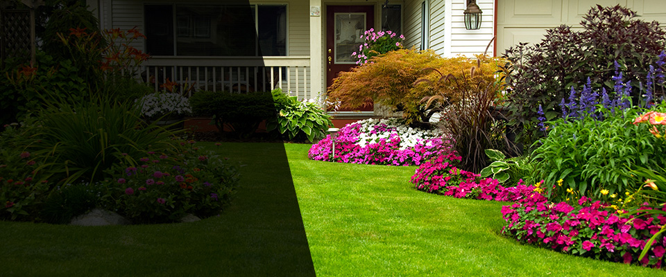 Robersonville Landscapers