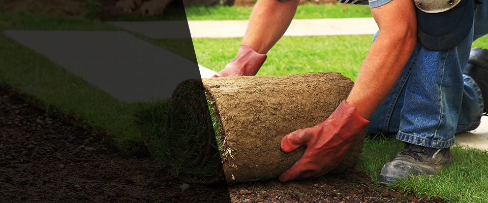 Robersonville Landscapers